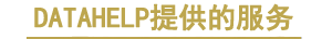 數(shù)據(jù)恢復(fù)服務(wù)